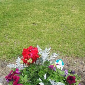 Meet your Posher, Bonnie